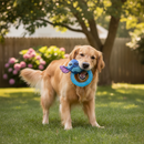 Tuggleksak för hundar Stitch Blå 13,0 x 6,0 x 22,0 cm