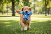 Frisbee Stitch Blå 23,0 x 23,0 x 3,0 cm